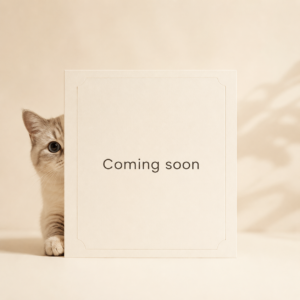 Placeholder